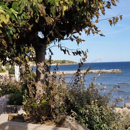 Le Sud 레지상브르